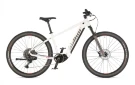 MTB